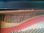 1927 Stienway A3 6' 4" Long Grand Piano